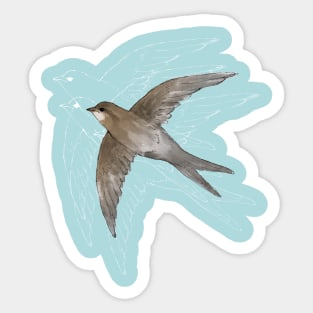 Common Swift in the air Sticker